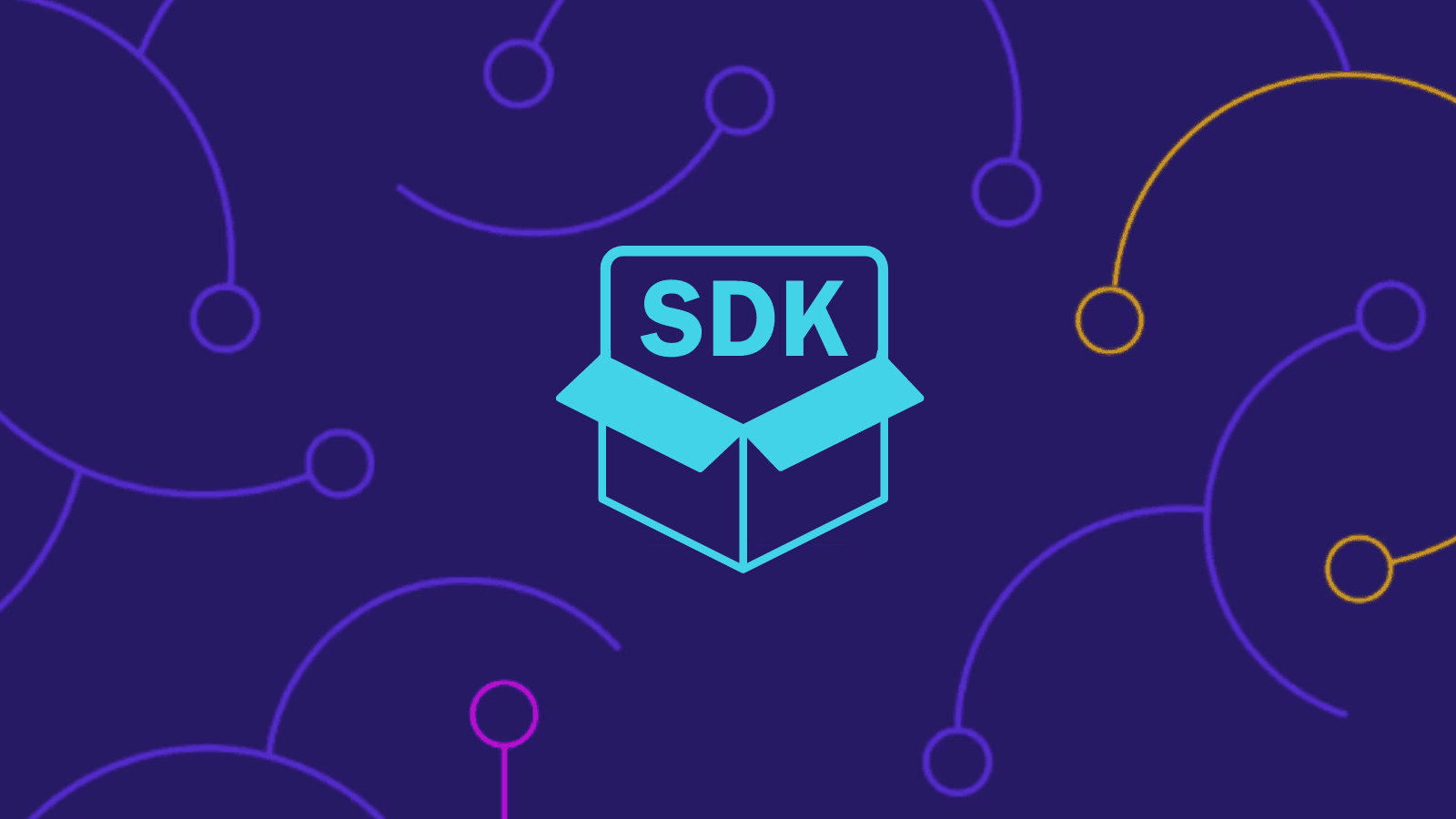 Article Image - SDK